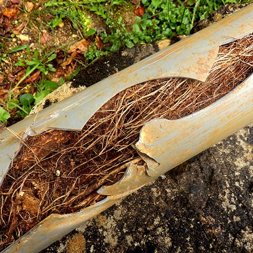 Same Day Drain Sewer & Rooter Pros Across Franklin