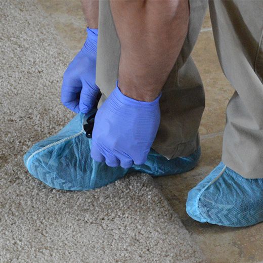 Franklin Ceiling Fan Electricians